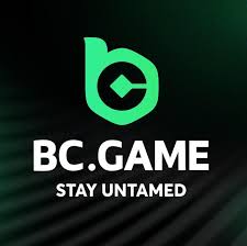 Understanding BC.Game PH Mirrors Your Guide to Accessing the Best Features