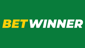 Explore the BetWinner Mobile App A Comprehensive Guide