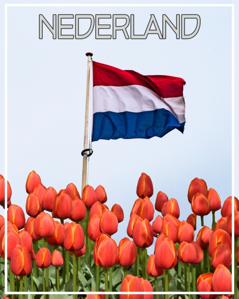 Ontdek de Beste Restaurants en Eetcafés in Apeldoorn 408437785