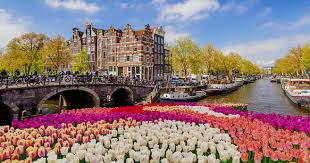 Ontdek de Beste Restaurants en Eetcafés in Apeldoorn 408437785