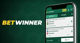 Complete Guide to BetWinner Brazil Registration Process