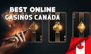 Discover the Best Top Online Casinos for Ultimate Gaming Experience Discover the Best Top Online Casinos for Ultimate Gaming Experience