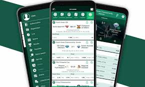 Unlocking the BetWinner Bonus A Comprehensive Guide